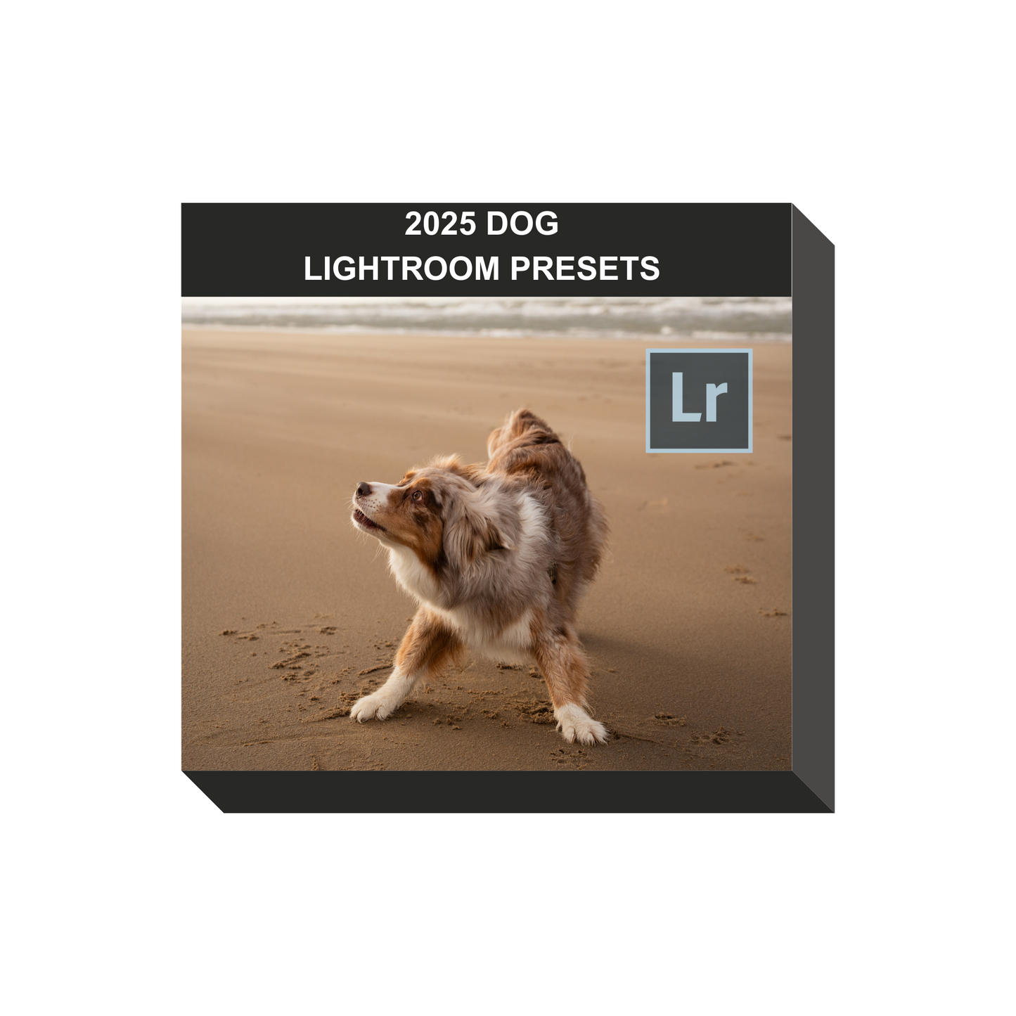 Lightroom preset pack for dog photography – 10 professional photo filters to enhance pet portraits, improve fur detail, and brighten outdoor dog photos. 